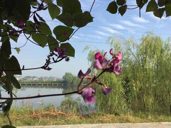 http://img.mp.itc.cn/upload/20160722/24abc7e0b6d44252a356e83905db61e4_th.JPG